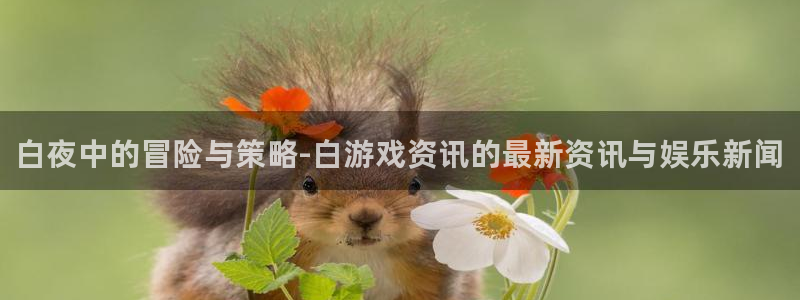 赢咖娱乐平台注册：白夜中的冒险与策略-白游戏资讯的最新资讯与