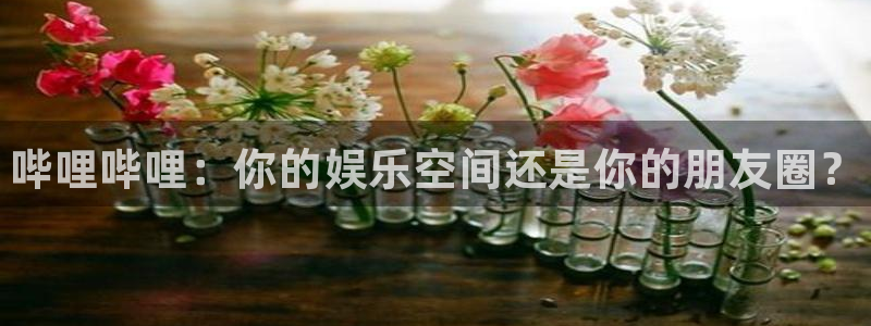 赢咖娱乐app下载：哔哩哔哩：你的娱乐空间还是你的朋友圈？
