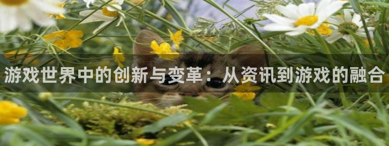赢咖娱乐网页登录入口官网：游戏世界中的创新与变革：从资讯到游