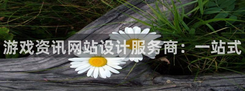 赢咖娱乐线路测试：游戏资讯网站设计服务商：一站式