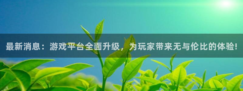 赢咖娱乐注册：最新消息：游戏平台全面升级，为玩家带来无与伦比