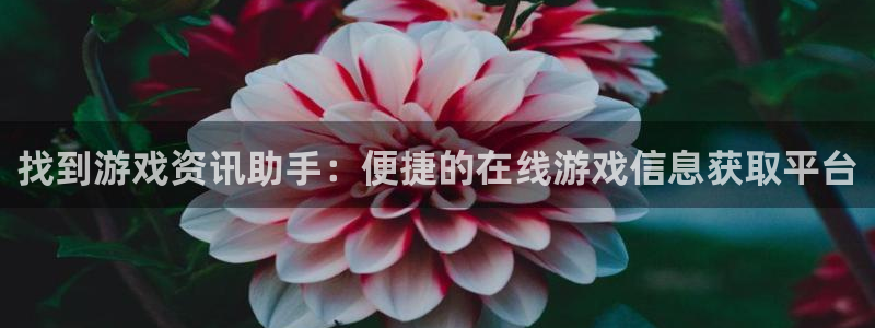 赢咖娱乐直属：找到游戏资讯助手：便捷的在线游戏信息获取平台