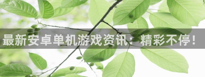 赢咖娱乐登录：最新安卓单机游戏资讯：精彩不停！