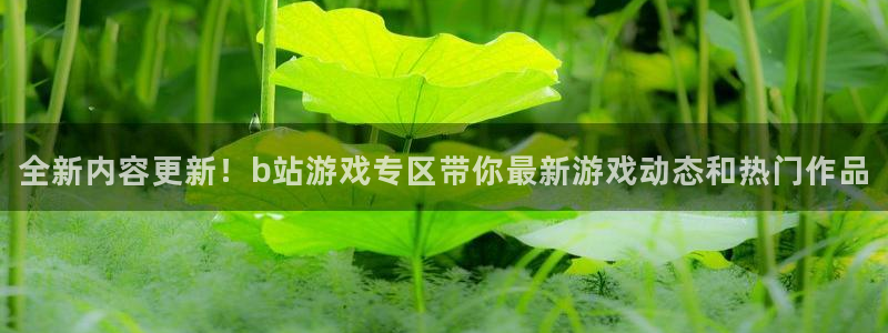 赢咖娱乐娱乐：全新内容更新！b站游戏专区带你最新游戏动态和热