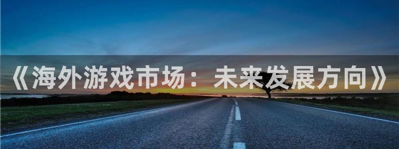 赢咖娱乐平台注册：《海外游戏市场：未来发展方向》