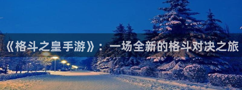 赢咖娱乐官方注册登录：《格斗之皇手游》：一场全新的格斗对决之