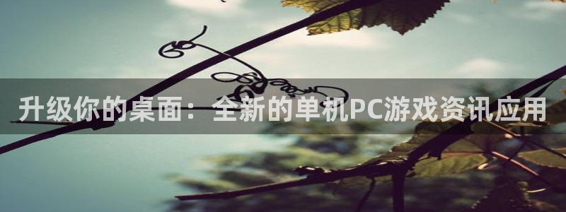 赢咖娱乐注册登录平台：升级你的桌面：全新的单机PC游戏资讯应