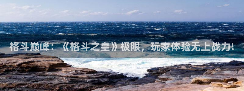 赢咖娱乐是什么：格斗巅峰：《格斗之皇》极限，玩家体验无上战力