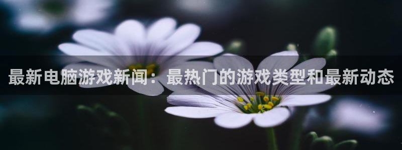 赢咖娱乐是什么：最新电脑游戏新闻：最热门的游戏类型和最新动态