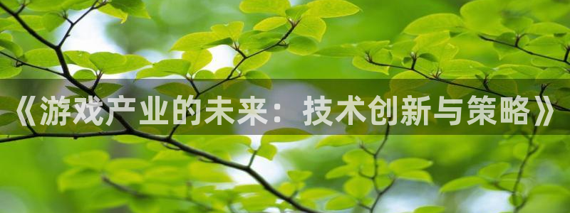 赢咖娱乐是什么：《游戏产业的未来：技术创新与策略》