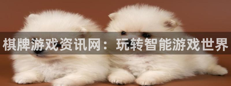 赢咖娱乐4主管：棋牌游戏资讯网：玩转智能游戏世界