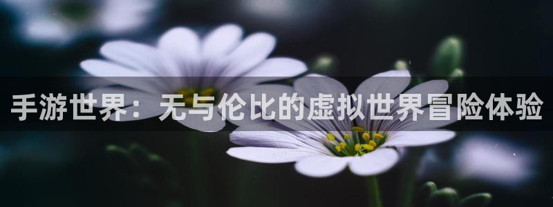 赢咖娱乐直属：手游世界：无与伦比的虚拟世界冒险体验