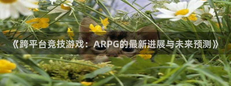 赢咖娱乐注册官方登录app：《跨平台竞技游戏：ARPG的最新