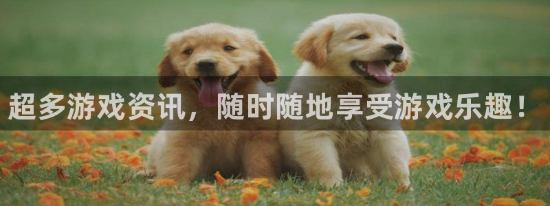 赢咖娱乐娱乐：超多游戏资讯，随时随地享受游戏乐趣！