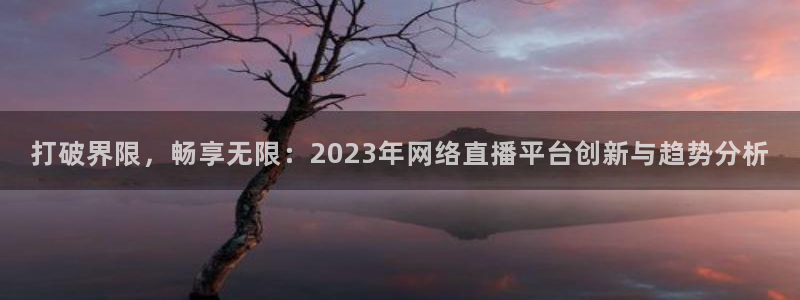 新球足球直播：打破界限，畅享无限：2023年网络直播平台创新与趋势分析