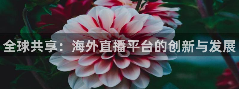 新球体育足球官网：全球共享：海外直播平台的创新与发展