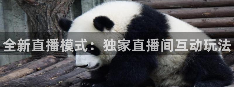 新球网直播：全新直播模式：独家直播间互动玩法