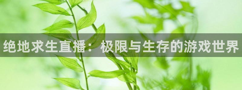 新球体育网球比分：绝地求生直播：极限与生存的游戏世界