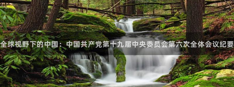 新球足球直播：全球视野下的中国：中国共产党第十九届中央委员会第六次全体会议纪要