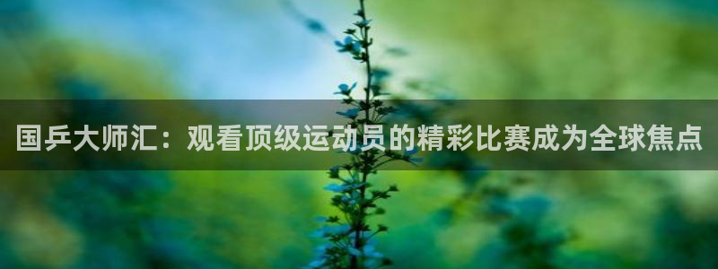 新球体育即时分：国乒大师汇：观看顶级运动员的精彩比赛成为全球焦点