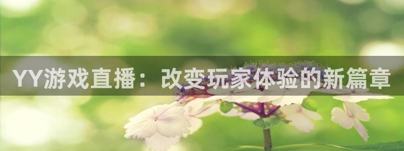 新球体育足球官网：YY游戏直播：改变玩家体验的新篇章