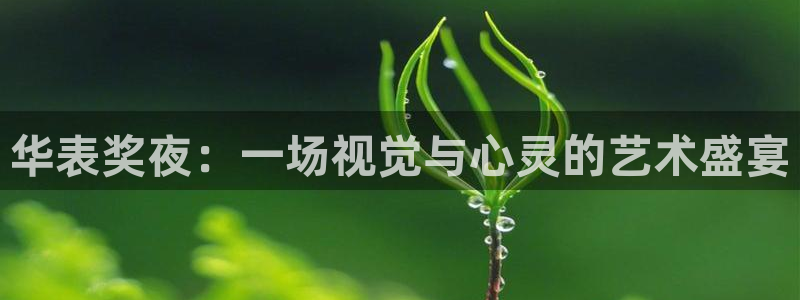 新球体育直播：华表奖夜：一场视觉与心灵的艺术盛宴