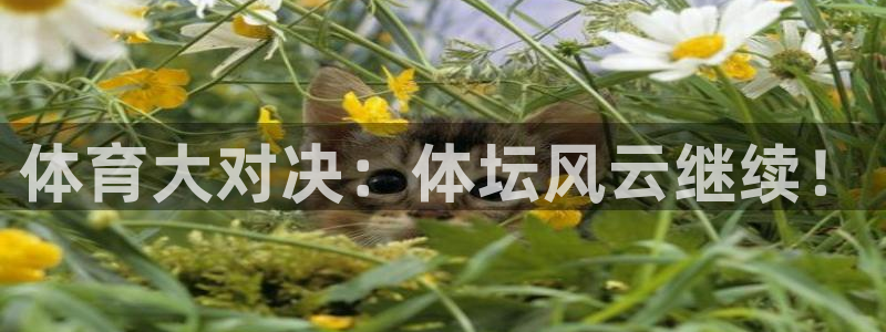 新球体育网球比分：体育大对决：体坛风云继续！