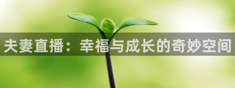 新球体育网球比分：夫妻直播：幸福与成长的奇妙空间