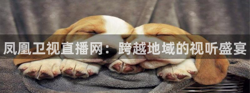 新球体育足球官网：凤凰卫视直播网：跨越地域的视听盛宴