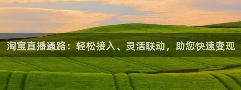 新球体育足球：淘宝直播通路：轻松接入、灵活联动，助您快速变现