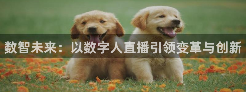 新球体育赛事：数智未来：以数字人直播引领变革与创新